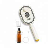 Steam Brush