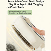 Steam Brush